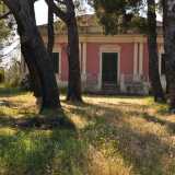 Il bianco delle lesene e il verde scuro delle persiane spiccano sulle sue graziose pareti rosa